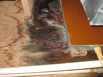 About BarrierPeak - water damage restoration experts in Chula Vista